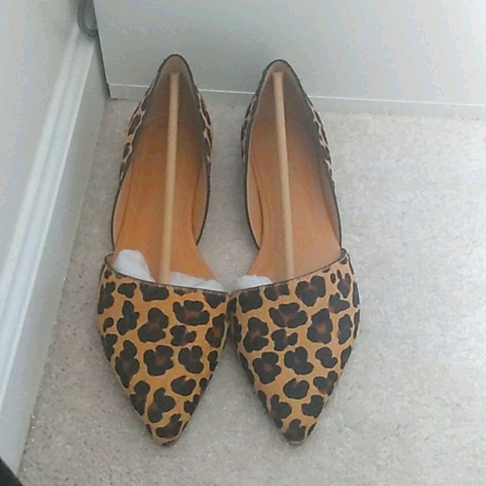 Leppard flats